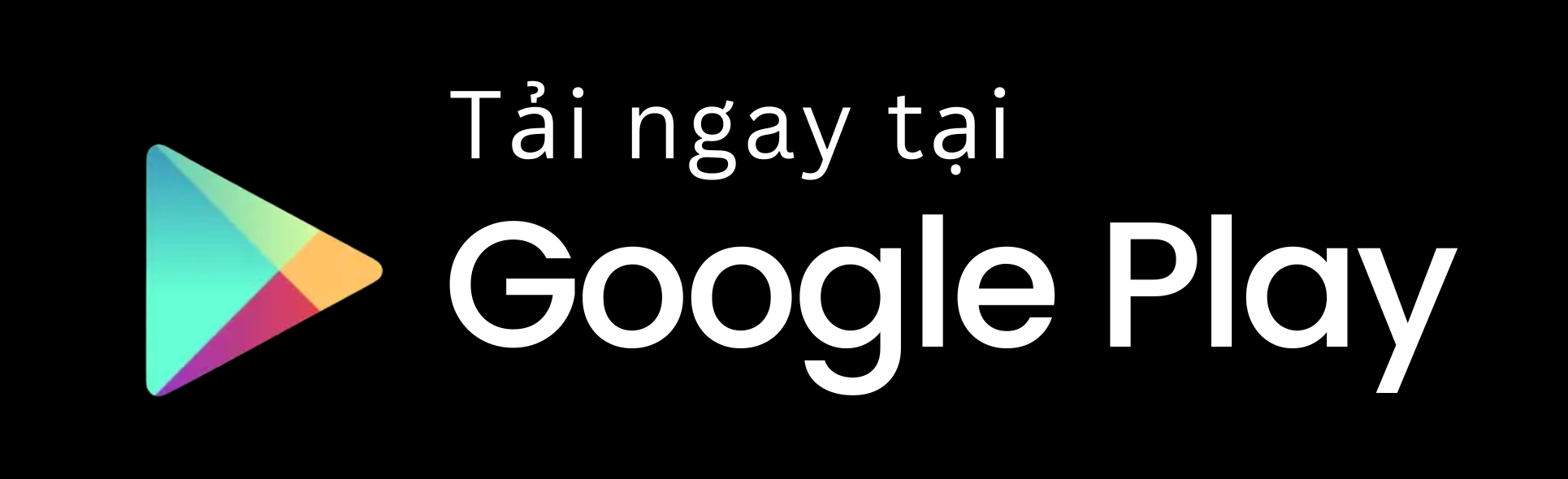 play store icon
